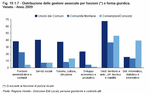 Distribution of association management by function and form. Veneto - Year 2009