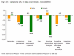 Variazione SAU in Italia e nel Veneto - Anni 2005/03