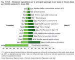 Dimissioni ospedaliere per le principali patologie e per sesso in Veneto (tassi per 100.000 residenti) - Anno 2004