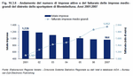 Andamento del numero di imprese attive e del fatturato delle imprese medio-grandi del distretto dello sportsystem di Montebelluna - Anni 2001:2007