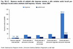 Numero medio di addetti alle imprese venete e relative unit locali per tipologia localizzativa adottata dall'impresa. Veneto - Anno 2007