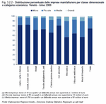 Distribuzione percentuale delle imprese manifatturiere per classe dimensionale e categoria economica. Veneto - Anno 2008