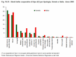 Beneficiaries of type A cooperatives by category, Veneto and Italy - Year 2005
