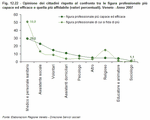 Opinions of citizens about the most competent and efficient groups of professionals and their trustworthiness (in percent). Veneto - Year 2007