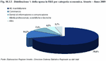 % distribution of the R&D expenditure by economic category. Veneto - Year 2009