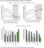 Demographic indicators. Italy and the BRICS - 1991:2010.