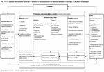 Schema del modello generale di struttura e funzionamento del sistema abitativo e tipologia di decisioni di sviluppo