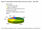 Imprenditori stranieri attivi in Veneto per settore - Anno 2007