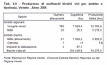 Produzione di molluschi bivalvi vivi per ambito e tipologia - Veneto - Anno 2006