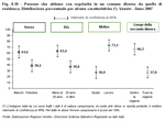 Persone che abitano con regolarit in un comune diverso da quello di residenza. Distribuzione percentuale per alcune caratteristiche. Veneto - Anno 2007