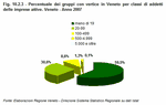 Percentuale dei gruppi con vertice in Veneto per classi di addetti delle imprese attive. Veneto - Anno 2007
