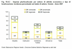Imprese plurilocalizzate per settore di attività economica e tipo di localizzazione: incidenza percentuale sul totale di settore. Veneto - Anno 2007 