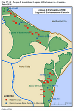 Acque di transizione: Lagune di Barbamarco e Canarin - Anno 2010