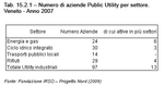 Numero di aziende 'Public Utility' per settore. Veneto - Anno 2007