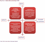 Sintesi della metodologia SOSE