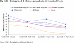 Punteggi medi di efficienza per quadrante dei Comuni del Veneto