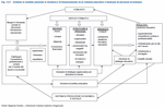 Schema di modello generale di struttura e di funzionamento di un sistema educativo e tipologia di decisioni di sviluppo
