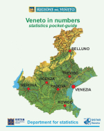 Veneto in numbers. Year 2007 - Book cover
