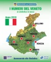 Copertina del volume: I numeri del Veneto - La Statistica in tasca
